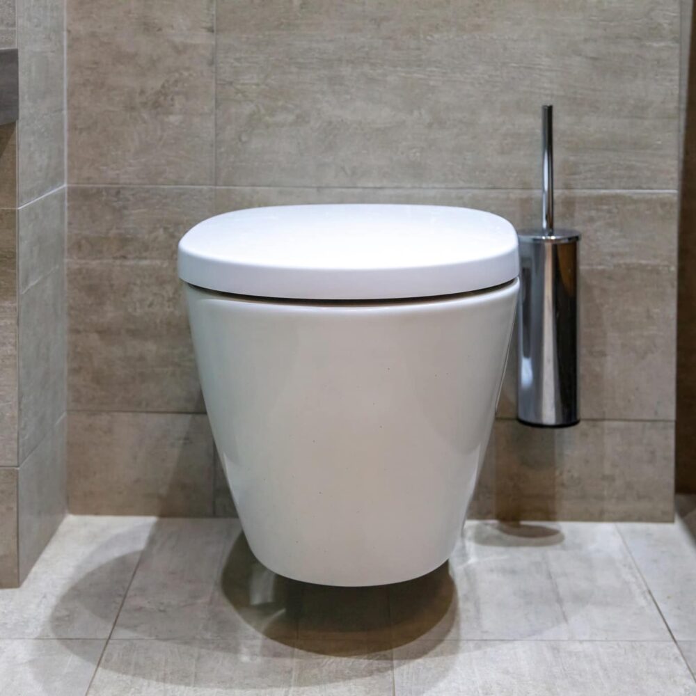 Modern toilet interior design